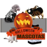 TOP 2️⃣0️⃣2️⃣6️⃣ MASCOTAS HALLOWEEN - ð Disfraces para animales domésticos: gatos, perros, pájaros,.. divertidos para Halloween 2026