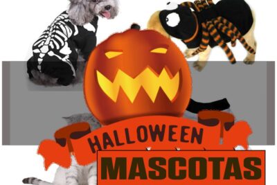Catálogo de Disfraces de mascotas para Halloween [year]