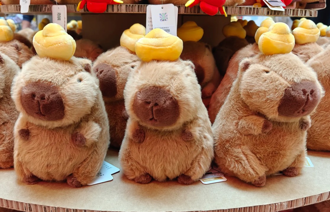 Todos los productos de regalo que puedas imaginar con los motivos de los simpáticos y adorables CAPIBARAS